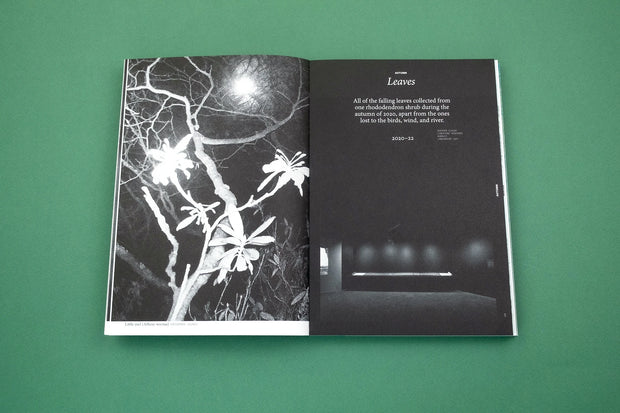 With Love. From an Invader. – Rhododendrons, Empire, China and Me