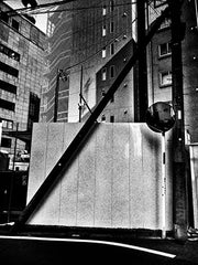 Record no.38 (signed)