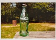 What if Jeff were a butterfly?