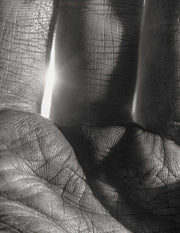 As Long as The Sun Lasts