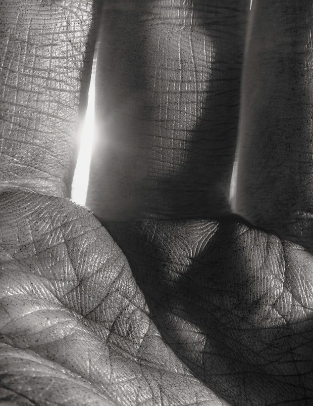 As Long as The Sun Lasts