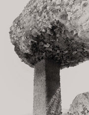 As Long as The Sun Lasts