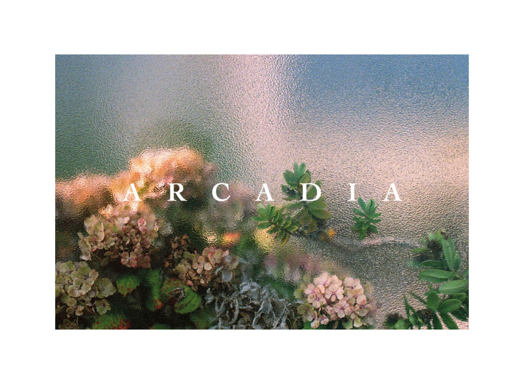 Arcadia (signed) by Ian Howorth – Photobookstore