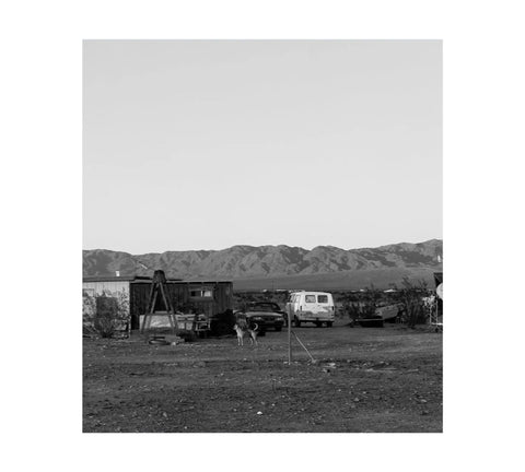 Dogs Chasing My Car In The Desert