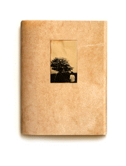 El vuelo lleva al vuelo