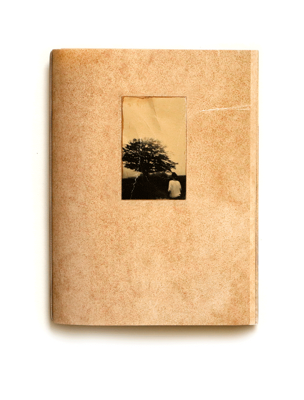 El vuelo lleva al vuelo