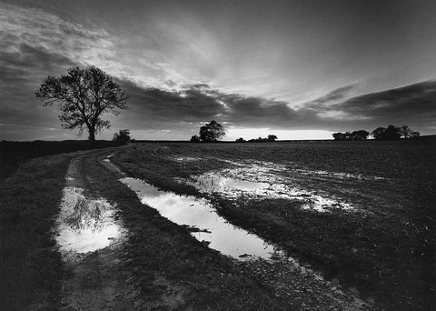 Life, Death and Everything in Between (signed)