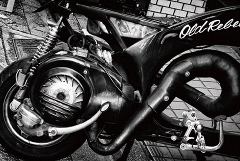 Record no.35 (signed)