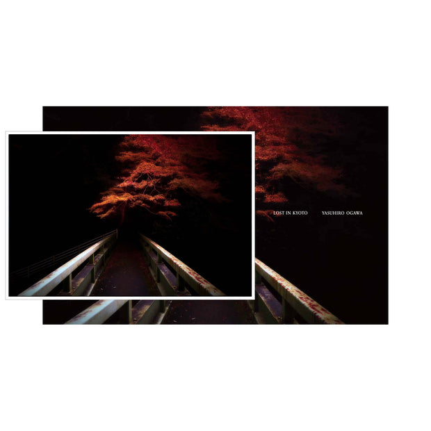 Lost in Kyoto (signed)