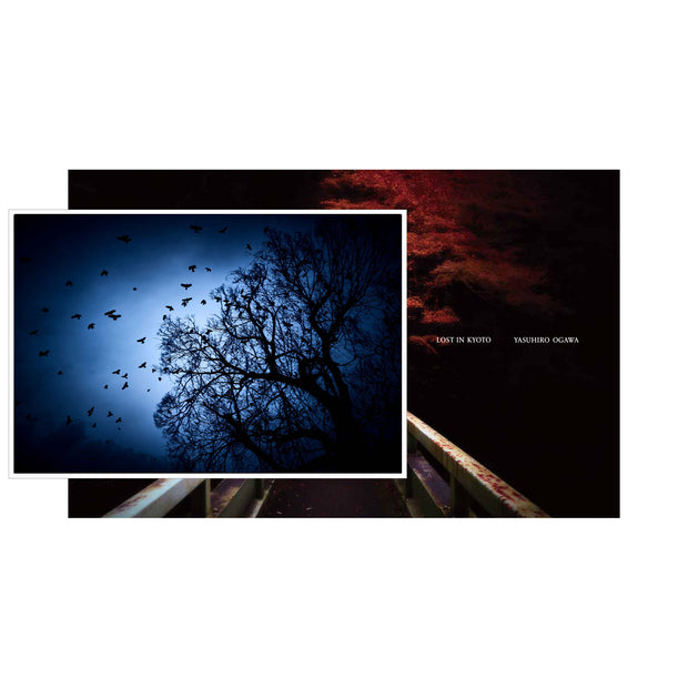 Lost in Kyoto (signed)