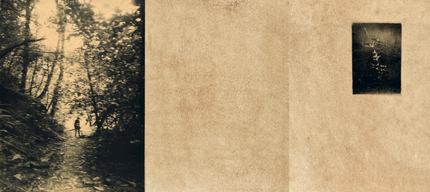 El vuelo lleva al vuelo