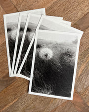 Reverie (signed) pre-order