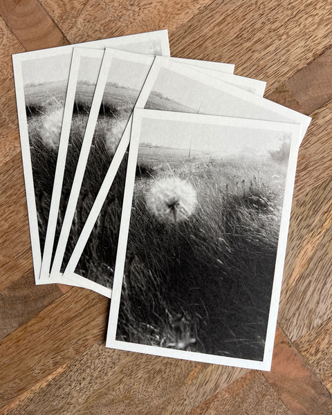 Reverie (signed) pre-order