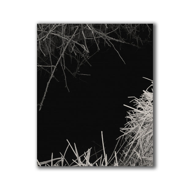 Reverie (signed) pre-order