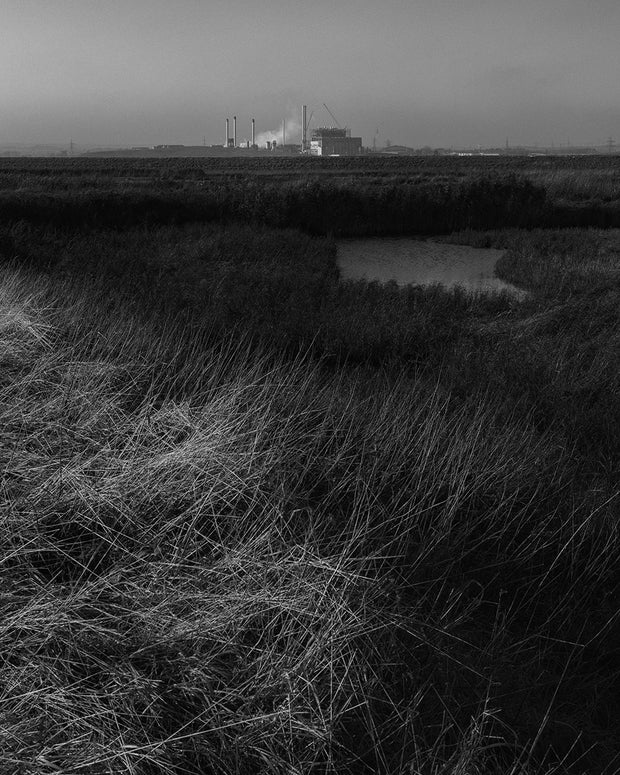 Reverie (signed) pre-order