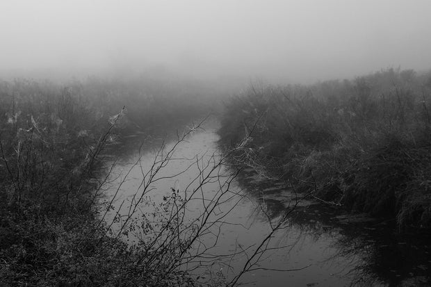 Reverie (signed) pre-order