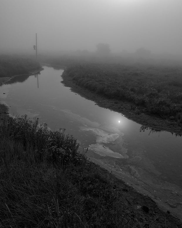 Reverie (signed) pre-order