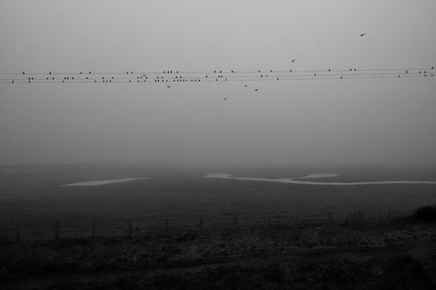 Reverie (signed) pre-order