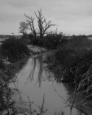 Reverie (signed) pre-order