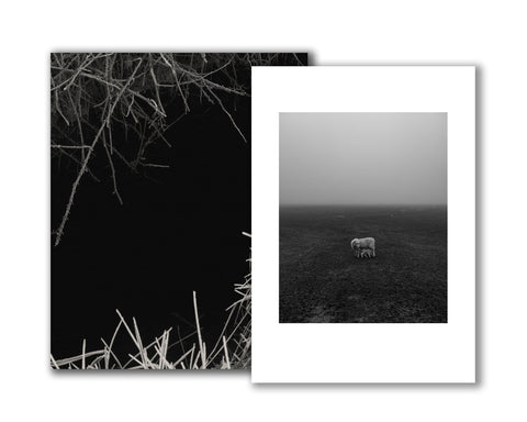 Reverie (signed) pre-order