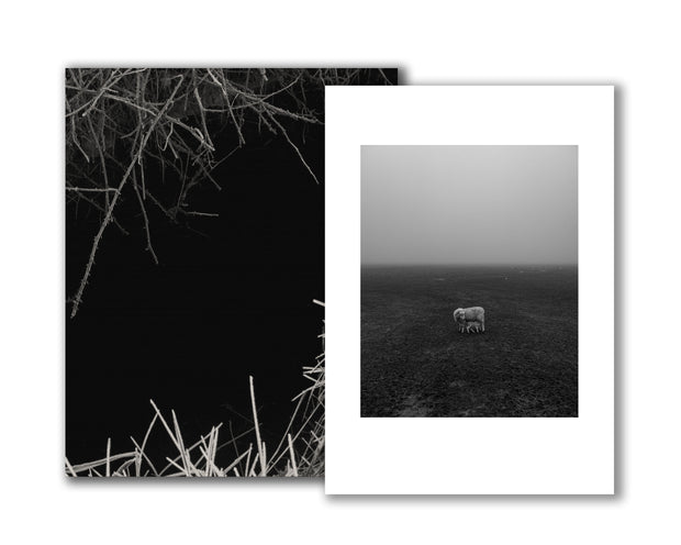 Reverie (signed) pre-order