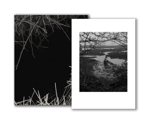 Reverie (signed) pre-order