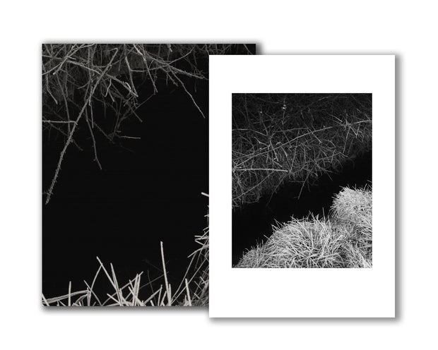 Reverie (signed) pre-order