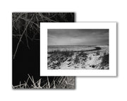 Reverie (signed) pre-order