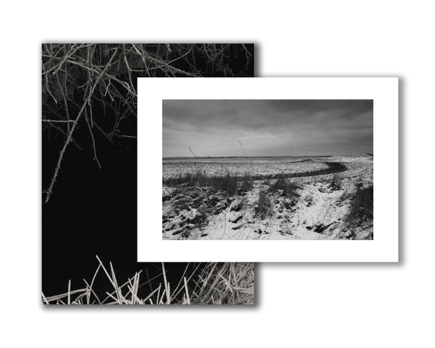 Reverie (signed) pre-order