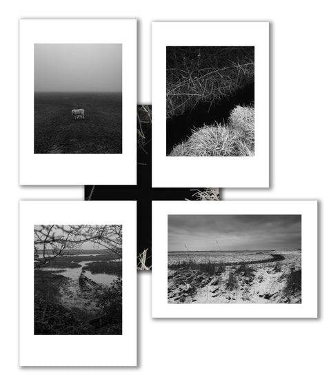 Reverie (signed) pre-order