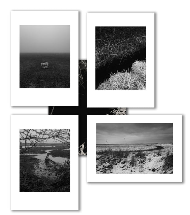 Reverie (signed) pre-order