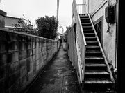 Record no.33 (signed)