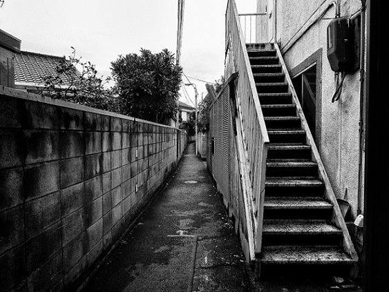 Record no.33 (signed)