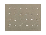 So it goes, so it goes, so it goes, so it goes