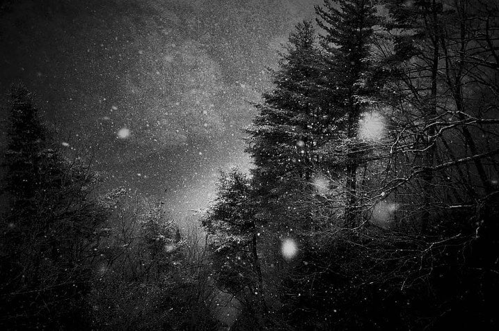 The Dreaming (signed) – Photobookstore