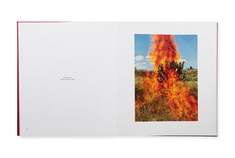 La Cucaracha - Photobookstore