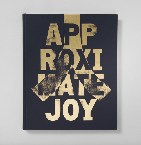 Approximate Joy (2nd printing) - Photobookstore