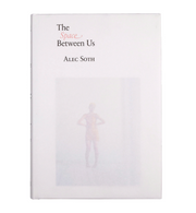 The Space Between Us by Alec Soth