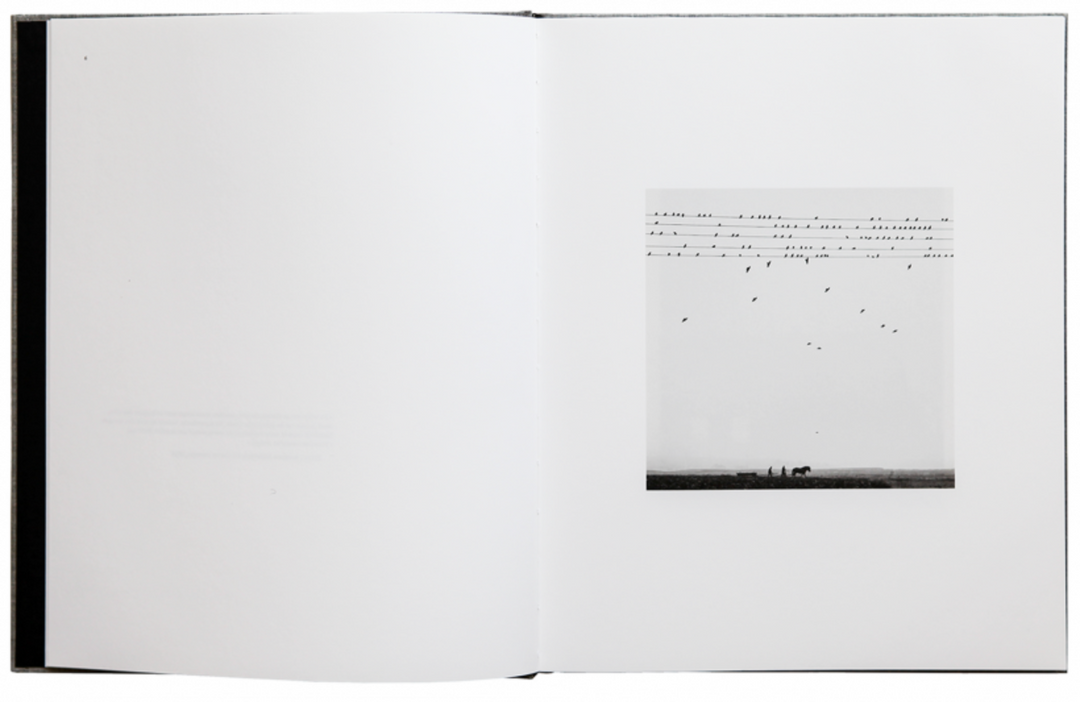 Des oiseaux photobook by Pentti Sammallahti – Photobookstore