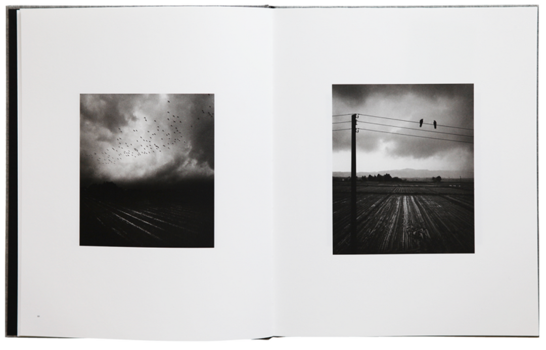 Des oiseaux photobook by Pentti Sammallahti – Photobookstore