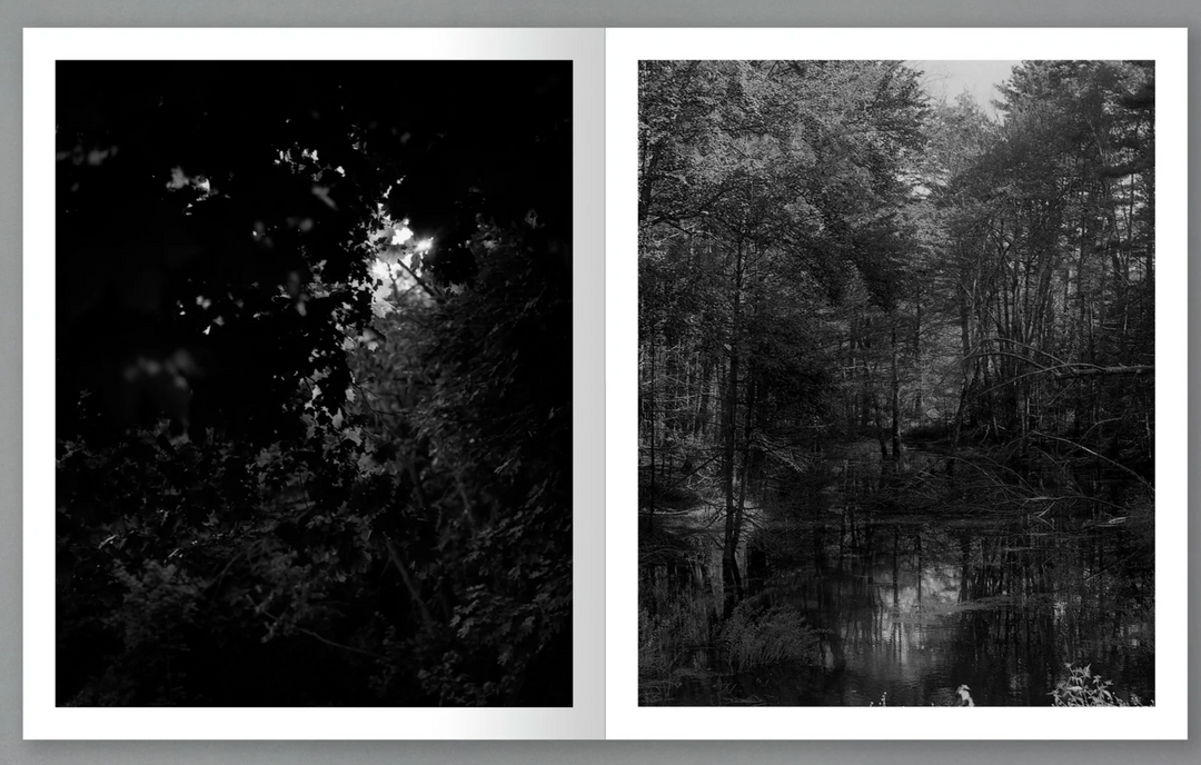 アート・デザイン・音楽 LET ME SOW LOVE / ROGER RICHARDSON アート・デザイン・音楽 LET ME SOW LOVE / ROGER RICHARDSON Special