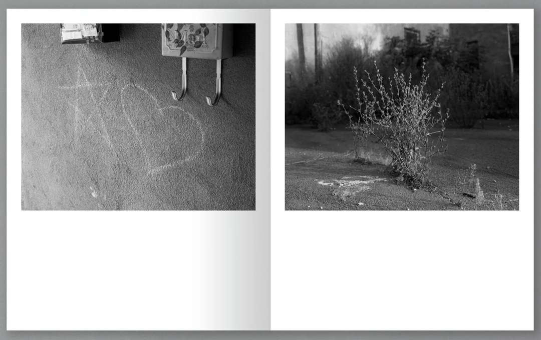 Let Me Sow Love (signed) by Roger Richardson – Photobookstore