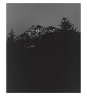 The Living Mountain by Awoiska van der Molen