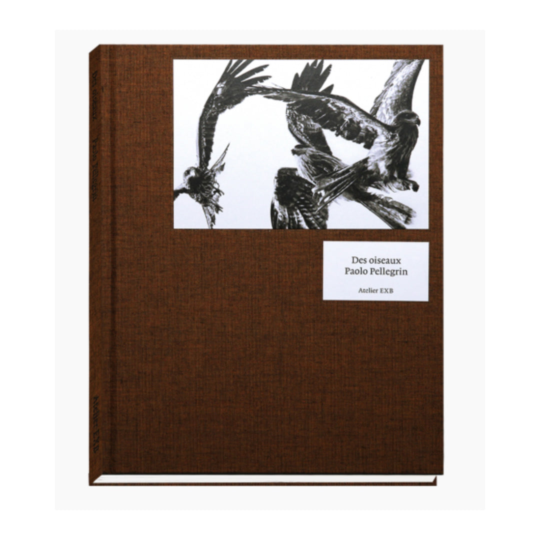 Des Oiseaux (Paolo Pellegrin) – Photobookstore