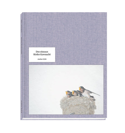 Des oiseaux (Rinko Kawauchi)