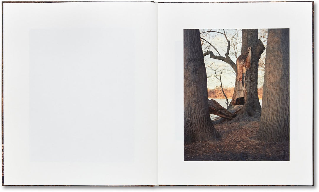 IN PLAIN AIR　Irina Rozovsky　アートブック Screenshot2021-01-23at15.34.